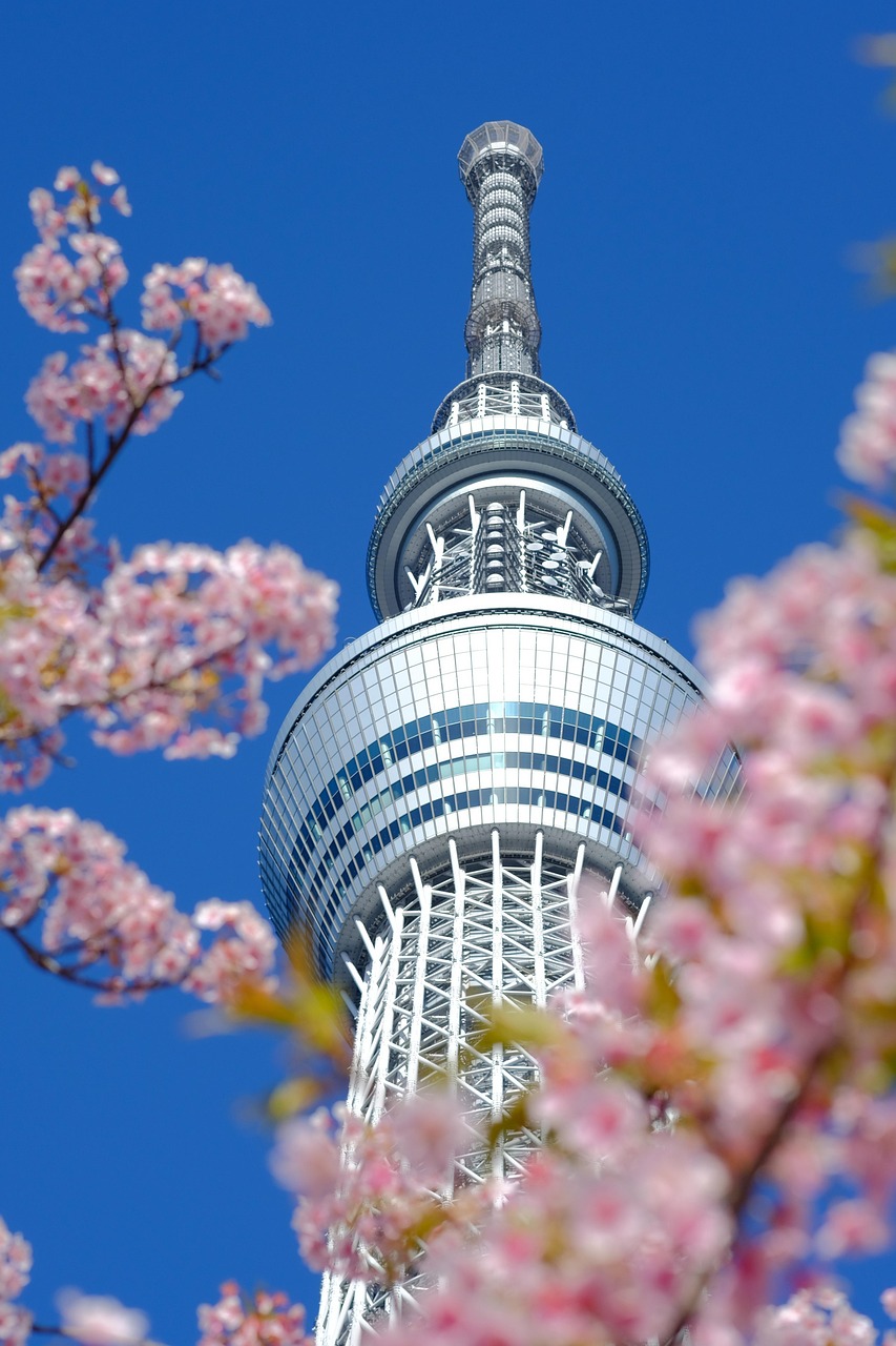 narita-airport-transfer-tokyo-skytree-cherry-blossoms-flower-wallpaper-flower-background-beautiful-flowers-nature-sakura-spring-japan-pink-flowers-8645455